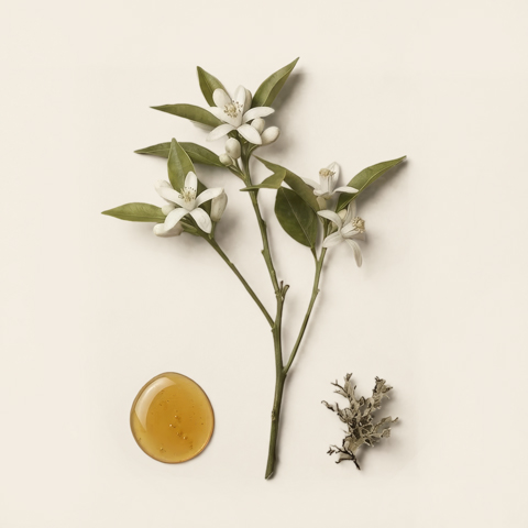 Ingredients visual